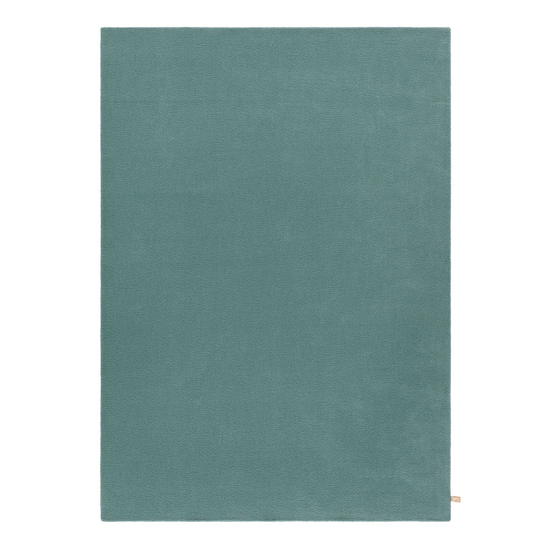 Solid teal area rug with a smooth texture, ideal for modern and minimalist home decor.