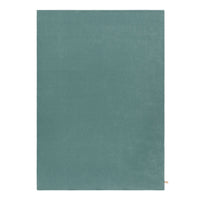 Solid teal area rug with a smooth texture, ideal for modern and minimalist home decor.