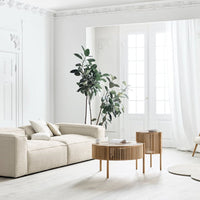 Beige sofa with soft cushions, paired with natural wood accent tables and green indoor plants against a bright, airy background.