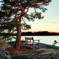 "Wooden chair with beige canvas seat, set against a serene sunset backdrop and lush green tree, creating a natural oasis."