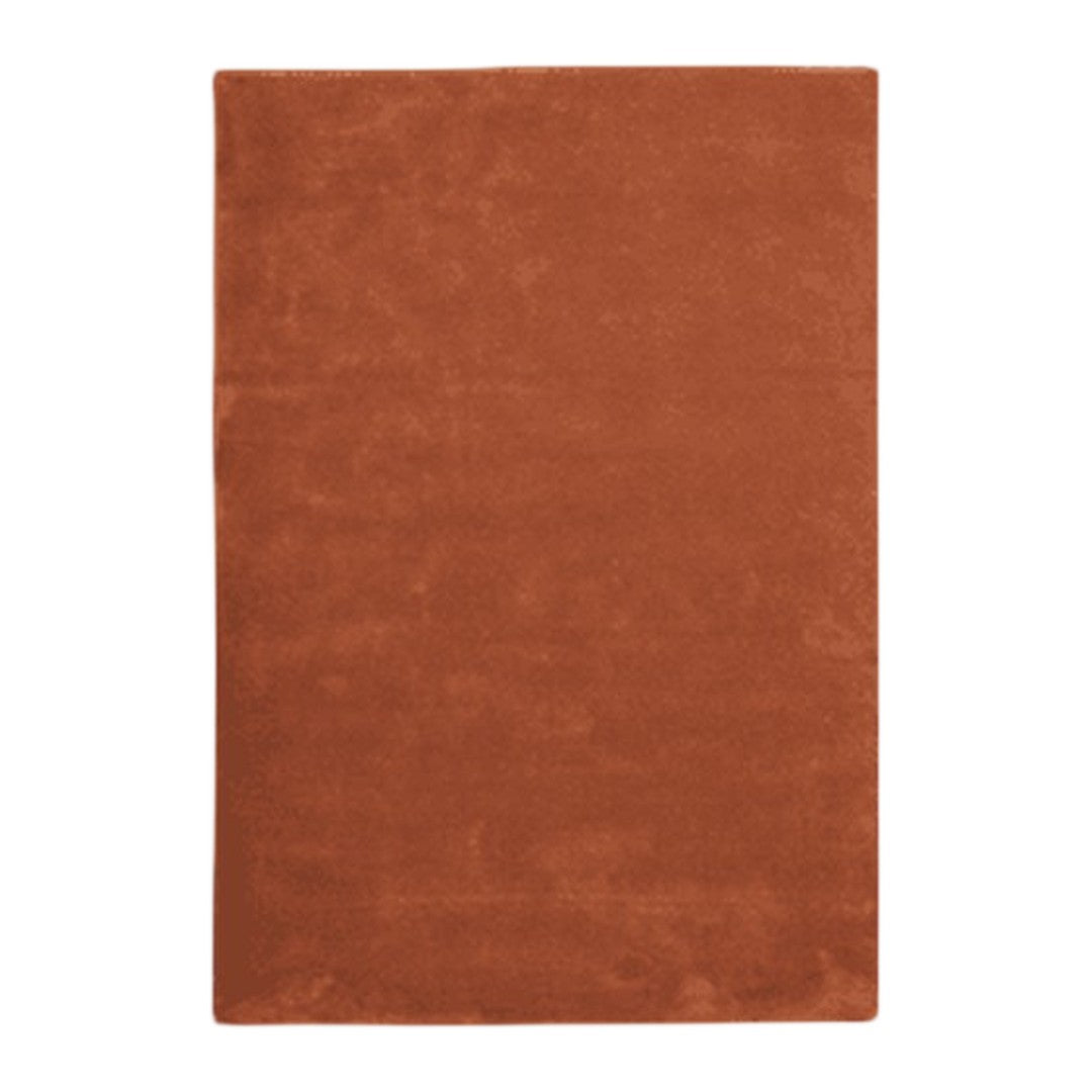 Solid terracotta orange area rug with a soft, plush texture, perfect for adding warmth to any space.