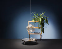 Wooden shelf with a geometric design, green plant, and sparkling light fixture against a blue and dark gray background.