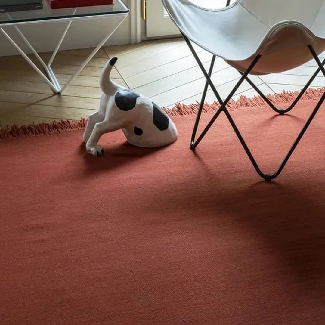 Terracotta area rug with a solid color, featuring a soft texture and fringe edges, complementing modern decor.