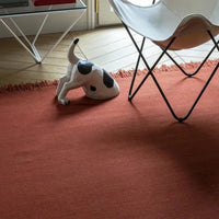 Terracotta area rug with a solid color, featuring a soft texture and fringe edges, complementing modern decor.