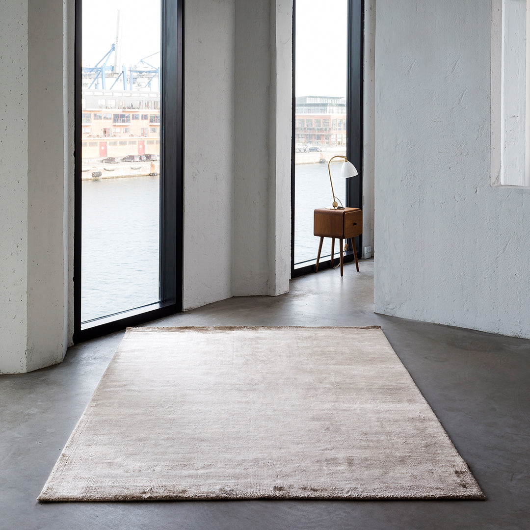 Neutral beige area rug with subtle texture and soft pattern, perfect for modern interiors.