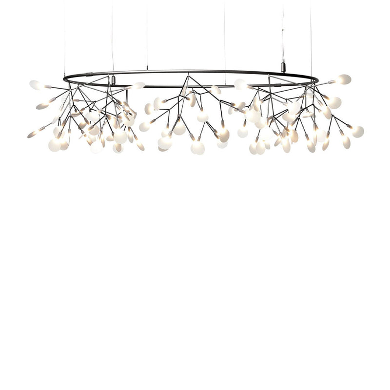 Heracleum III Small Big O
