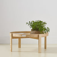 Round wooden coffee table with natural finish, featuring a textured woven planter and vibrant green plant.