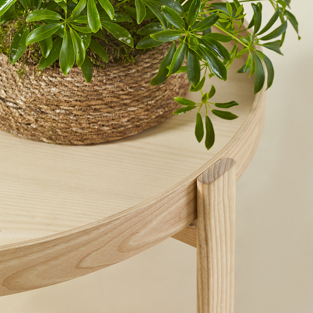 Light wood tabletop with smooth curves, complemented by textured woven planter and vibrant green foliage.