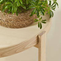 Light wood tabletop with smooth curves, complemented by textured woven planter and vibrant green foliage.