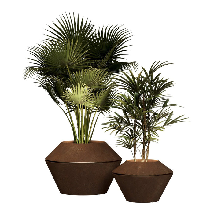 Oyster / Cosmos Planter