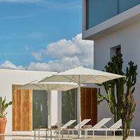 White patio umbrellas with a crisp design against a blue sky and modern architecture, surrounded by green cacti.