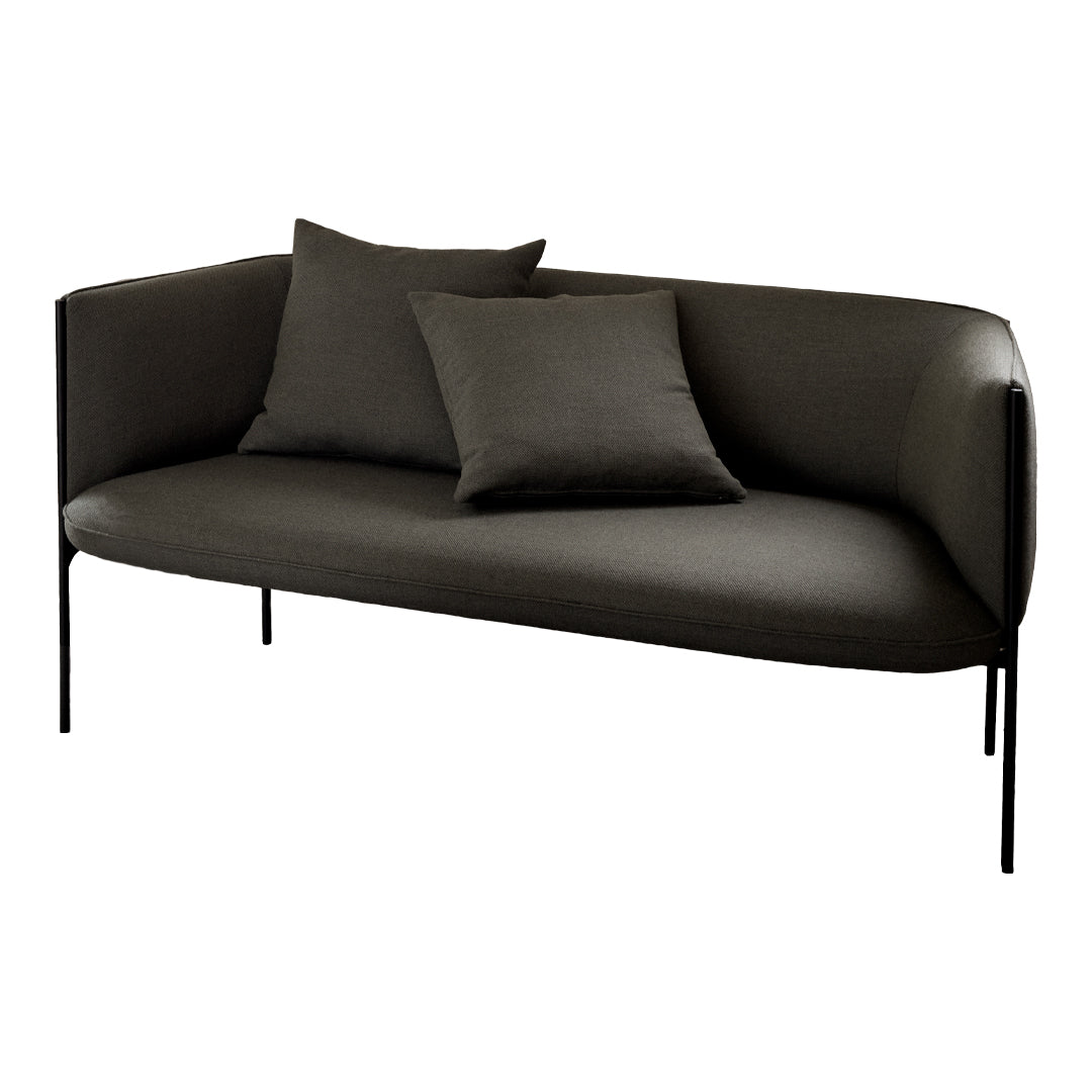 Sleek dark gray sofa with two matching pillows, featuring a minimalist design and smooth fabric. Perfect for modern decor.