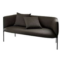Sleek dark gray sofa with two matching pillows, featuring a minimalist design and smooth fabric. Perfect for modern decor.