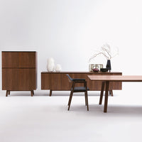 "Modern walnut furniture set featuring rich wood tones and sleek lines, accented by minimalist decor elements."