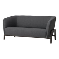Dark gray upholstered sofa with smooth, minimalist design and sleek wooden legs. Perfect for modern interiors.